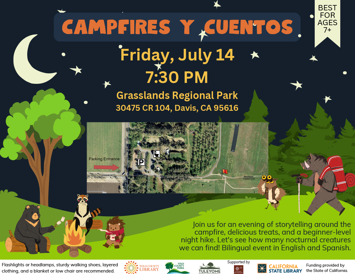 forest animals hiking and sitting around a campfire at night