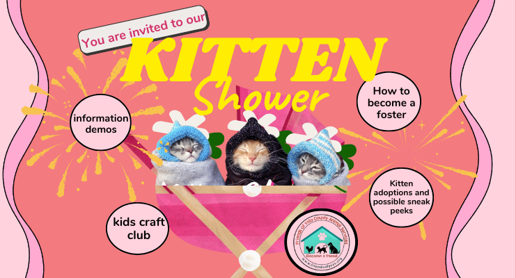 Three swaddled kittens in front of a pink cartoon stroller and pink background with yellow fireworks
