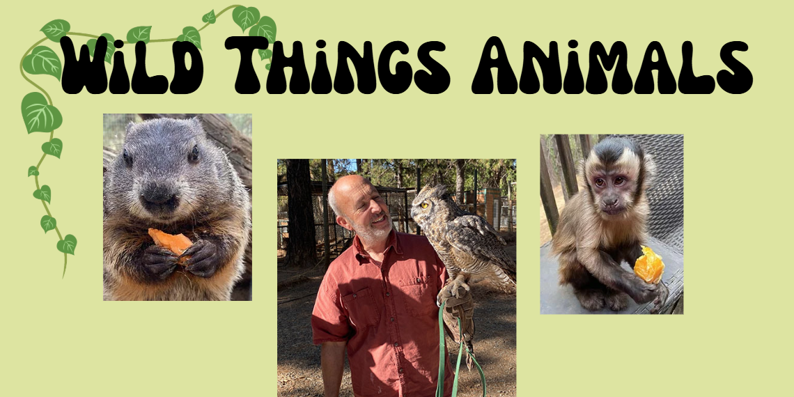 Wild Things Animals. Photographs of a rodent, a Great Horned owl, and a monkey.